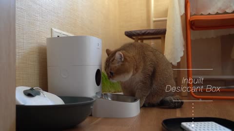 Automatic Cat Feeder!