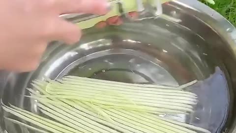 Kitchen Vegetable Peeler