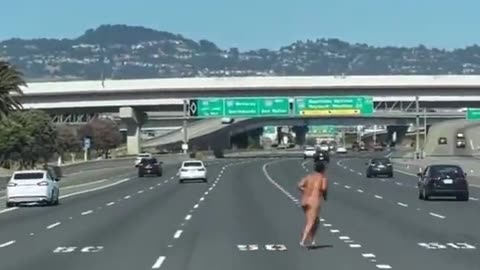 Armed Highway Streaker.