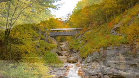 Enchanting Autumn Forests with Beautiful Piano Music