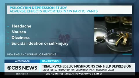 In people with advanced cancer, psychedelic drugs like psilocybin, LSD and MDMA