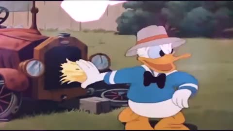 DONALD DUCK CARTOONS