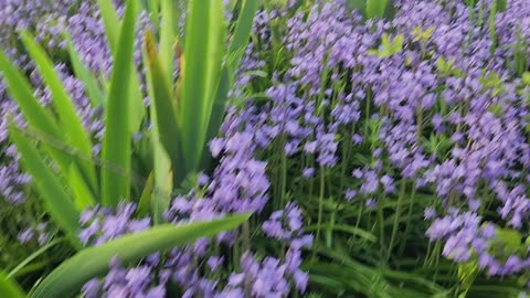 Stop to smell the flowers