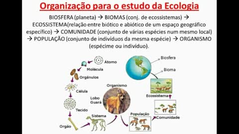 Ecologia: Introdução - MinhaEscolaWeb