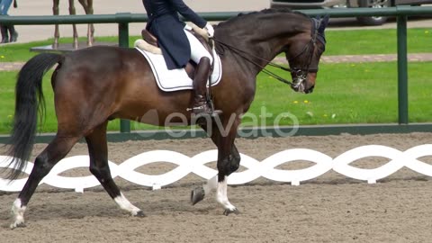 Rider Prepared For The Performance🐎🐴