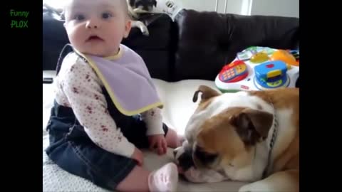 Funny Bulldog and Baby Videos Compilation