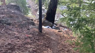 Traversing the Rugged Canyon – Whychus Creek – Central Oregon