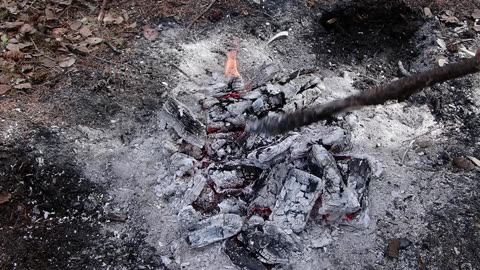 Solo Backcountry Bushcraft Tarp Camp