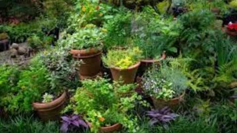 A Witch’s glossary of herbs