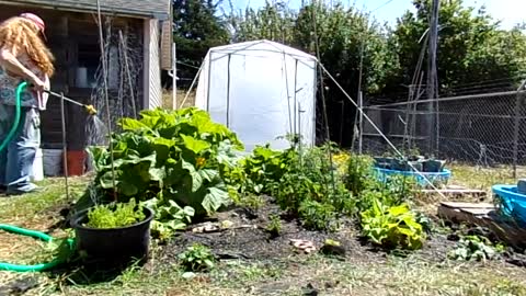 REV CHRISTINE WATERING THE SURVIVAL GARDEN