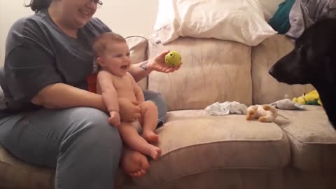 Cute Babies Play With Dogs And Cats Compilation#DogLife#PuppyLove#Doggo##KittyLove#CatLife#Caturday