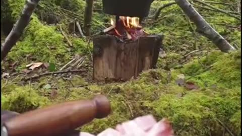 FoodPorn Warning Hungarian Stew Lecs #shorts #primitivecooking