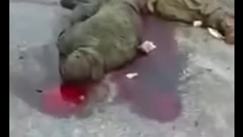 WARNING 21+ Ukrainian soldier executes Russian POW #2 [UKRAINIAN BESTIALITY]