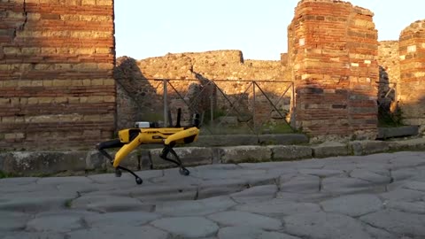 Meet SPOT, the robot dog patrolling Pompeii