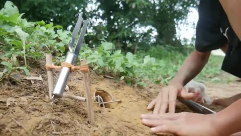 Build an underground snake trap with a tray and chicken to catch a big snake.