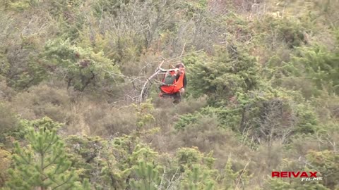 WILD BOAR HUNTING IN COURSILHAC | CAZA DEL JABALI EN COURSILHAC - www.reivaxfilms.com