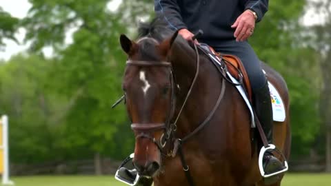 Captain Canada Ian Millar - Showjumping Legend