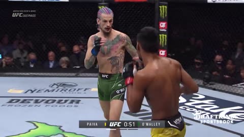 Sean O'Malley V's Raulian Paiva /Free Fight. /UFC 292