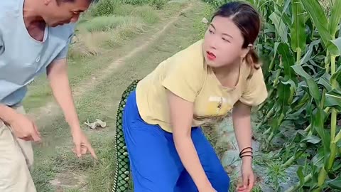 Funny videos || new funny videos ||