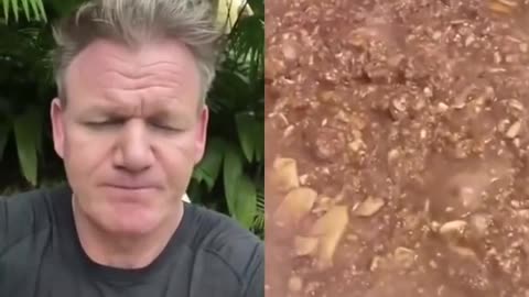 Gordon Ramsay likes the food - Gordon Ramsay Reacts to TikTok cooking