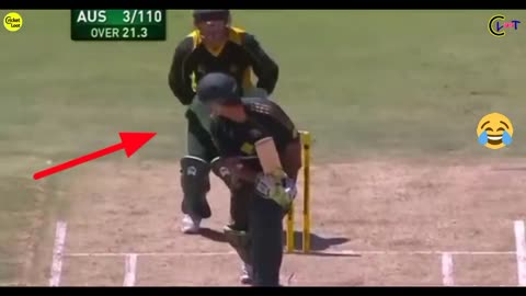 Funny cricket video