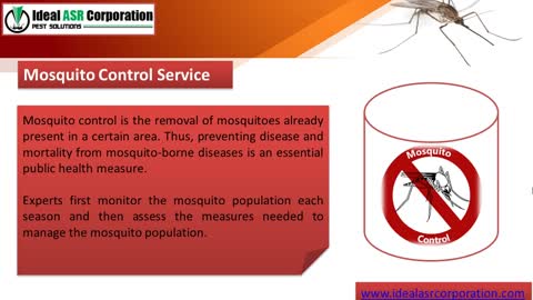 Best mosquito control Service in Indore – Ideal ASR