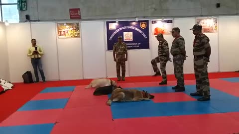 CISF demonstration of dog squad dog training