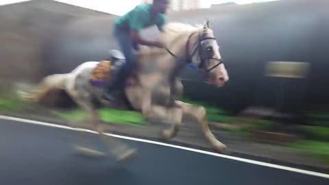 Crazy Horseman In The Road