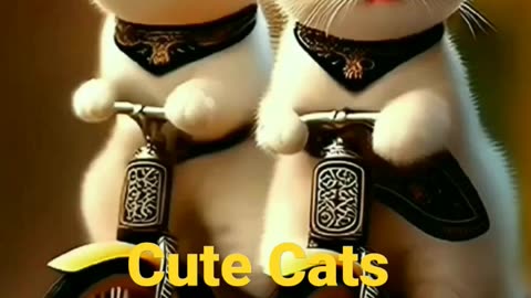 Cute Cats🥺🥺#cutekidsvideos #trending #youtubeshorts #kitty