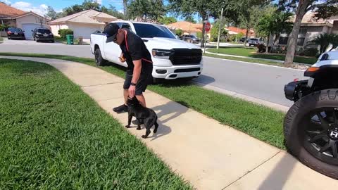 BELGIAN MALINOIS PUPPY! OFF-LEASH & Fully Trained!