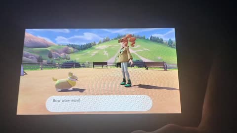 Pokemon Sword:Meeting The Turffield Gym Leader