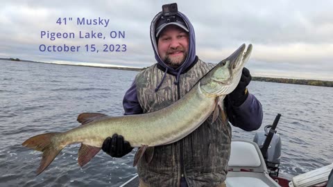 41" Musky Runner