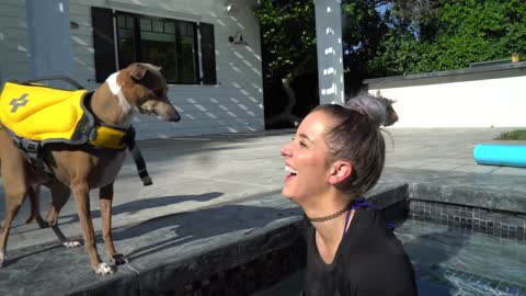 Jenna Teaching Her Dogs How To Swim