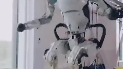 The Boston Dynamics Robots