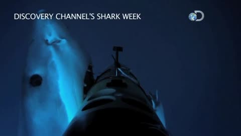 Shark attacks robot