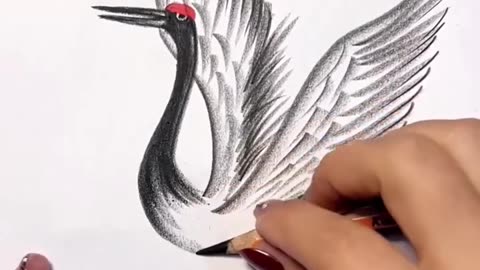 Art Drawing of a bird