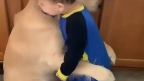 DOG and baby loving each other