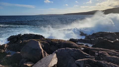 Maddox Cove Newfoundland hike