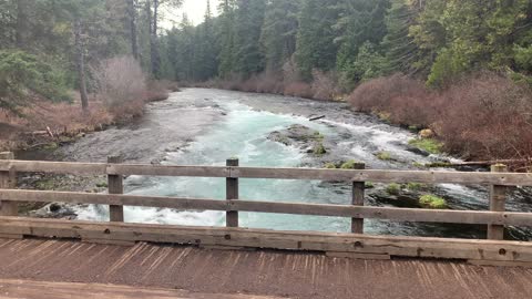 Well Hello There. – Bridge Views of Metolius River – Central Oregon