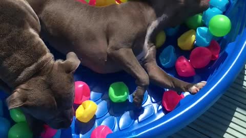 Ball pit heaven