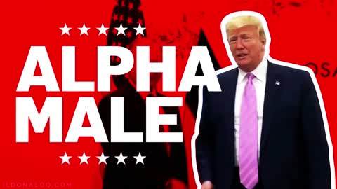 ALPHA MALE!!!😎😎😎