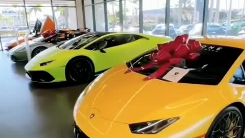 Luxurious car collection