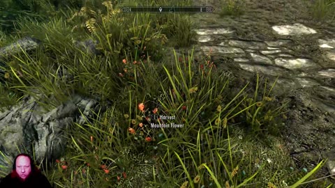 Skyrim with MrNihilist74 on twitch (2)