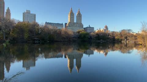 Lunch Break Walk in Central Park