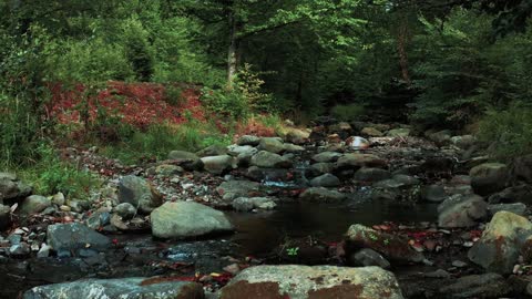 Relaxing Deep Meditation Music at a Waterfall