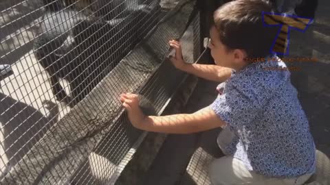 Funny kids vs Zoo Animals are So impressed and enjoyed! TRY_NOT_TO_LAUGH(1080p)