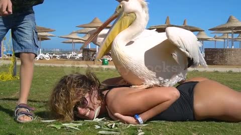 Beautiful girl and duck