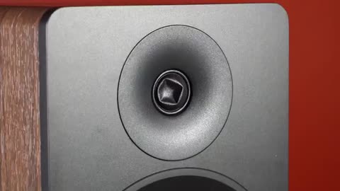 How to Fix a Speaker with a Pushed In Tweeter Dome_Cut