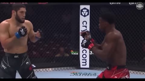 UFC BEST KNOCKOUTS OF 2023