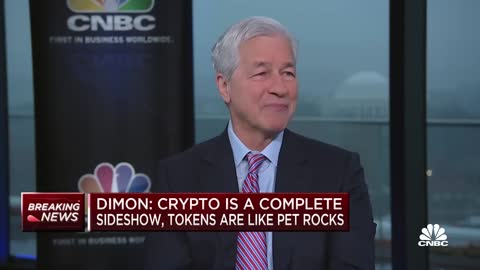 Crypto is a complete sideshow, tokens are like 'pet rocks,' says JPMorgan CEO Jamie Dimon